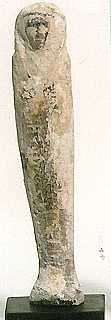 u14.jpg