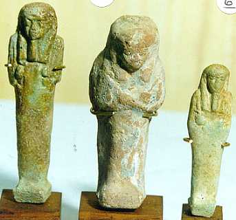 u456.jpg