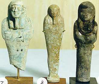 u789.jpg