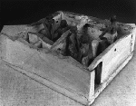 Large View