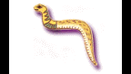 http://www.virtual-egypt.com/newimages/glyph/j.gif